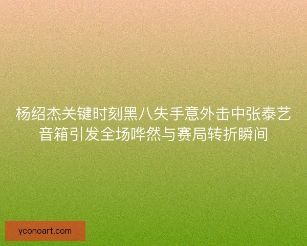 杨绍杰关键时刻黑八失手意外击中张泰艺音箱引发全场哗然与赛局转折瞬间